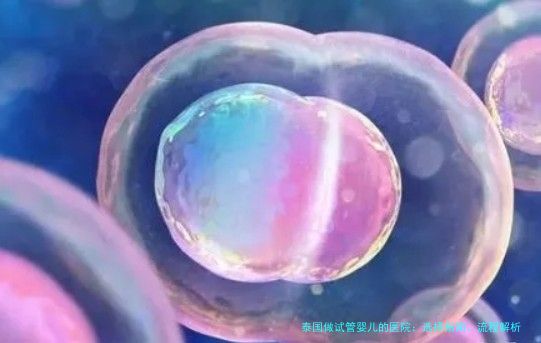 泰国做试管婴儿的医院：选择指南、流程解析与个人建议