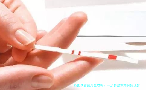 泰国试管婴儿全攻略：一步步教你如何实现梦想