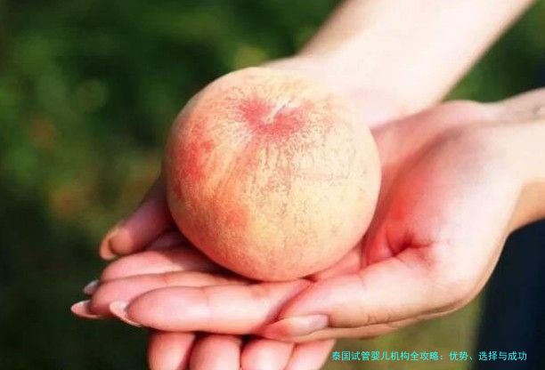 泰国试管婴儿机构全攻略：优势、选择与成功秘诀