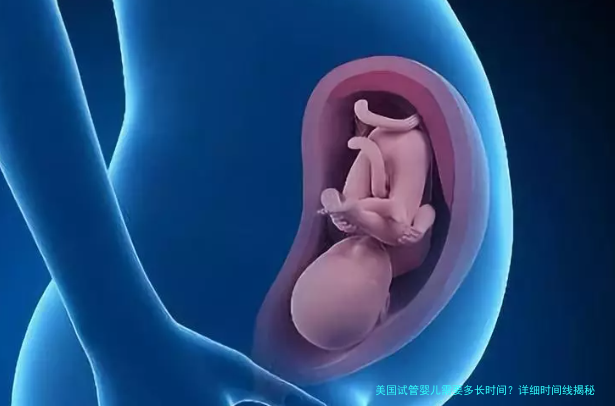 美国试管婴儿需要多长时间？详细时间线揭秘与个人心得分享！
