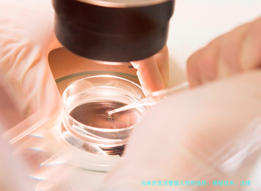 马来西亚试管婴儿性别选择：揭秘技术、法律与你的选择