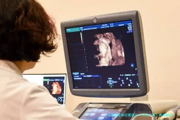 马来西亚做试管婴儿一共多少钱？费用解析、案例分享与实用建议