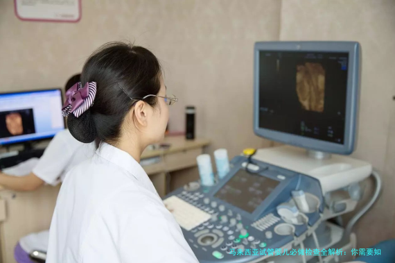 马来西亚试管婴儿必做检查全解析：你需要知道的一切