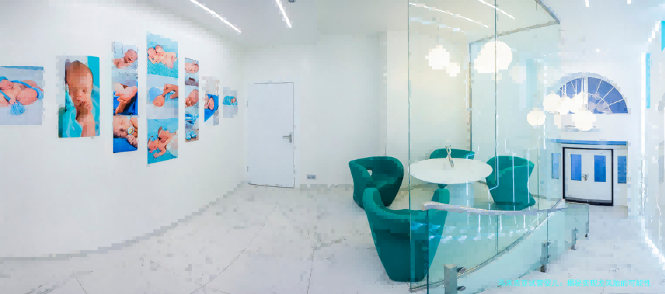 马来西亚试管婴儿：揭秘实现龙凤胎的可能性与全攻略