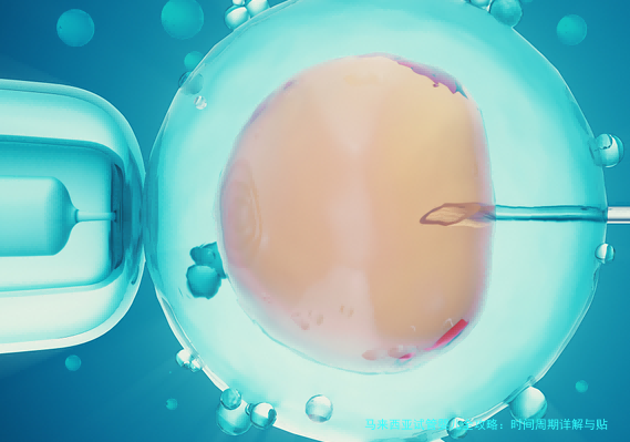 马来西亚试管婴儿全攻略：时间周期详解与贴心建议