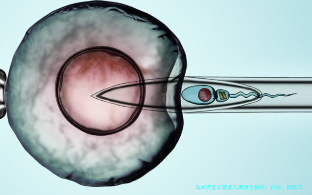 马来西亚试管婴儿费用全解析：价钱、因素与省钱指南