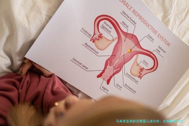 马来西亚高龄试管婴儿成功率：全面解析与实用建议