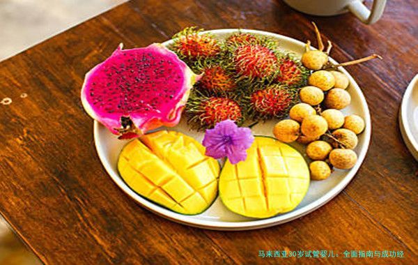 马来西亚30岁试管婴儿：全面指南与成功经验分享