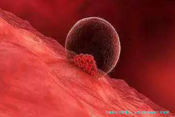 马来西亚试管婴儿：女性过程痛苦吗？全面解析与建议