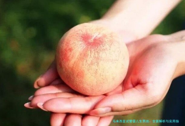 马来西亚试管婴儿生男孩：全面解析与实用指南