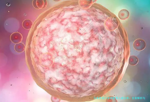 马来西亚20岁试管婴儿成功率：全面解析与实用指南