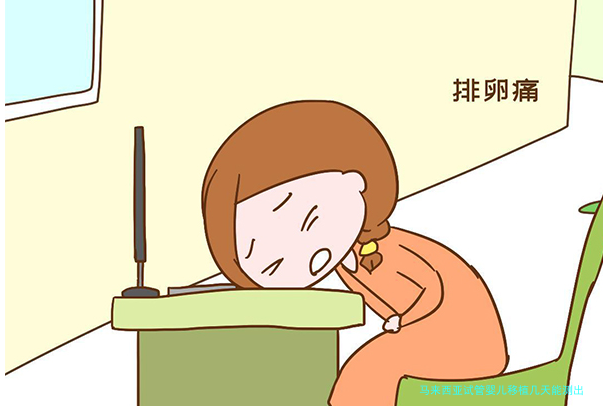 马来西亚试管婴儿移植几天能测出