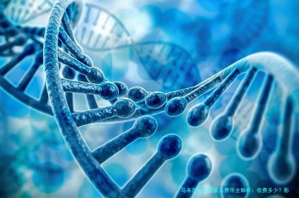 马来西亚试管婴儿费用全解析：收费多少？影响因素有哪些？
