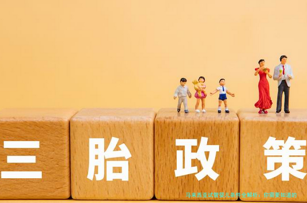 马来西亚试管婴儿条件全解析：你需要知道的那些事儿