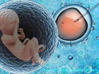 马来西亚试管婴儿的具体步骤全解析，附详细图片指南