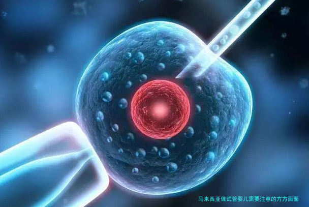 马来西亚做试管婴儿需要注意的方方面面
