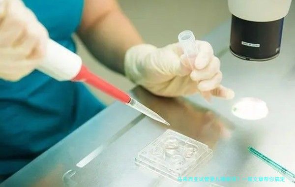 马来西亚试管婴儿哪家强？一篇文章帮你搞定选择难题