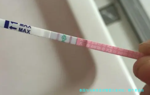 泰国与马来西亚试管婴儿全对比：哪个更适合你的生育之旅？