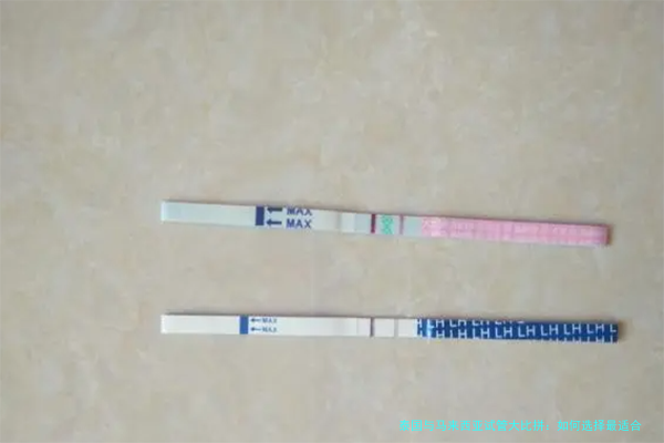 泰国与马来西亚试管大比拼：如何选择最适合的试管婴儿目的地？