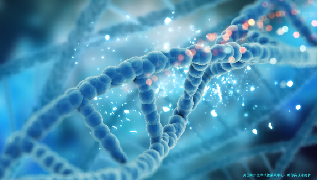 美国加州生命试管婴儿中心：助你实现家庭梦想的科学驿站