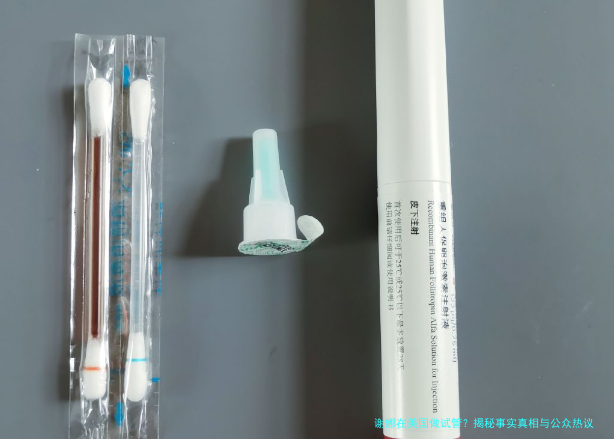 谢娜在美国做试管？揭秘事实真相与公众热议