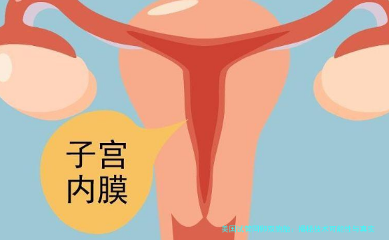 美国试管同卵双胞胎：揭秘技术可能性与真实故事