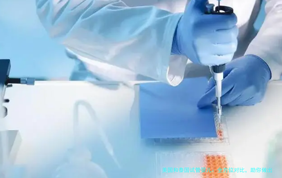 美国和泰国试管婴儿：全方位对比，助你做出明智选择