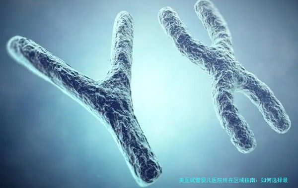 美国试管婴儿医院所在区域指南：如何选择最适合你的地方