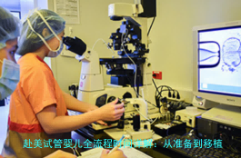 赴美试管婴儿全流程时间详解：从准备到移植需要多久？