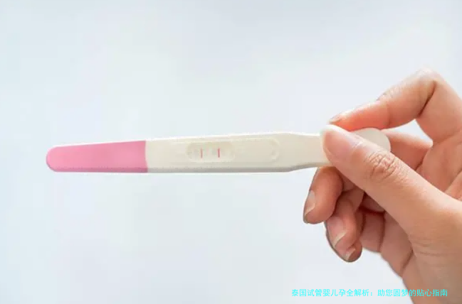 泰国试管婴儿孕全解析：助您圆梦的贴心指南