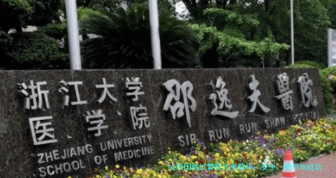 去泰国做试管婴儿全解析：安全、费用与成功率的终极指南