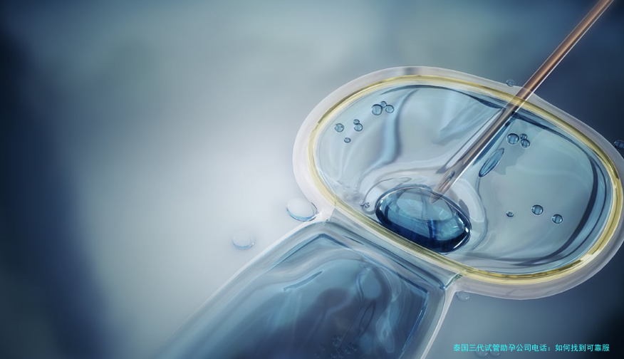 泰国三代试管助孕公司电话：如何找到可靠服务与联系方式