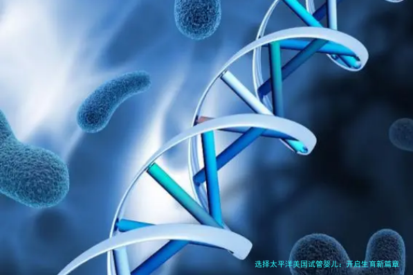 选择太平洋美国试管婴儿：开启生育新篇章