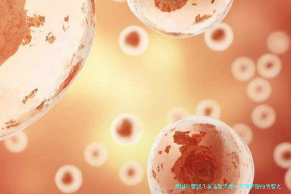 美国试管婴儿首选新天地：实现梦想的明智之选