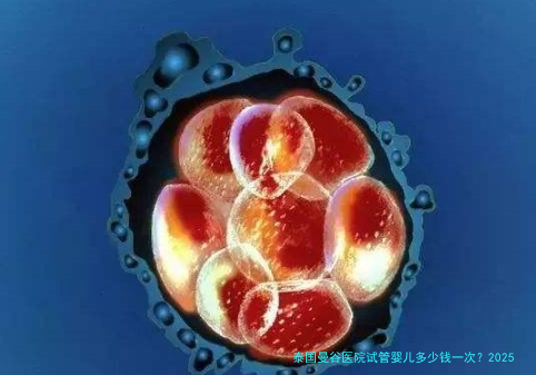 泰国曼谷医院试管婴儿多少钱一次？2025最新费用明细与避坑指南