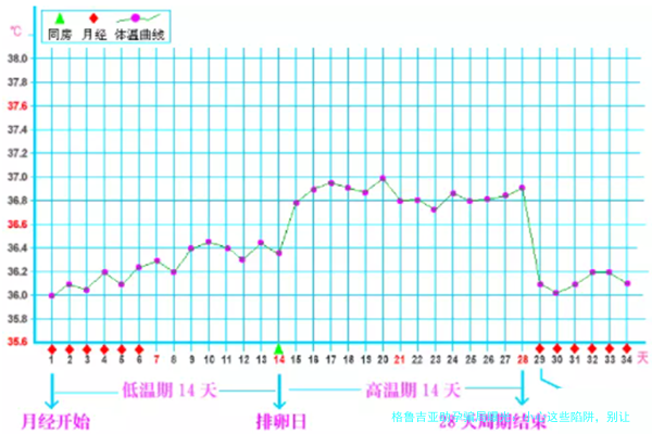 格鲁吉亚助孕骗局曝光：小心这些陷阱，别让你的求子梦破碎