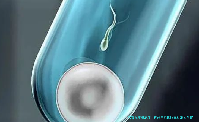 试管促排别焦虑，神州中泰国际医疗集团帮你少走弯路