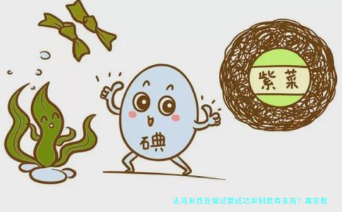 去马来西亚做试管成功率到底有多高？真实数据+亲历者经验分享