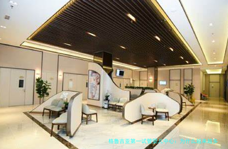 格鲁吉亚第一试管婴儿中心:为什么越来越多人选择这里?