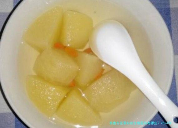 格鲁吉亚最好的生殖医院有哪些？2024年最新排名与选择指南