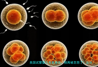 美国试管婴儿专家排名，别再被忽悠了！这份真实指南请收好