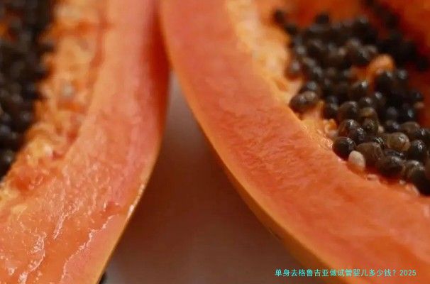 单身去格鲁吉亚做试管婴儿多少钱？2025年最新费用揭秘