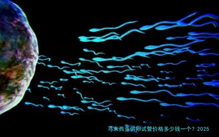 马来西亚供卵试管价格多少钱一个？2025年最新费用明细与避坑指南