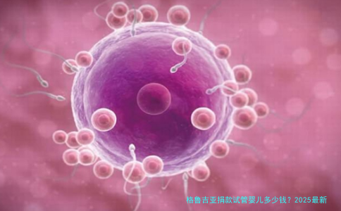 格鲁吉亚捐款试管婴儿多少钱？2025最新费用明细与流程解析