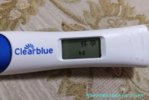 格鲁吉亚试管婴儿自助多少钱？2026费用清单和避坑实话