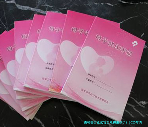 去格鲁吉亚试管婴儿费用多少？2025年真实花费清单与避坑指南