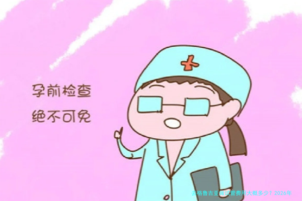 去格鲁吉亚做试管费用大概多少？2026年最新费用清单和避坑指南