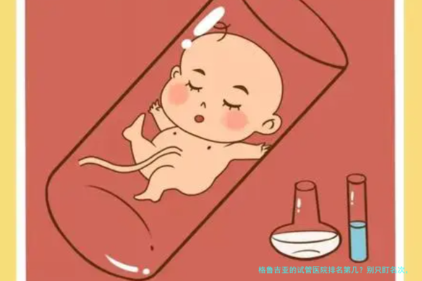 格鲁吉亚的试管医院排名第几？别只盯名次，选对医院才是关键