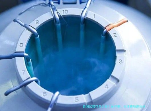 泰国试管花多少钱？医疗费、生活费和避坑点一次讲清