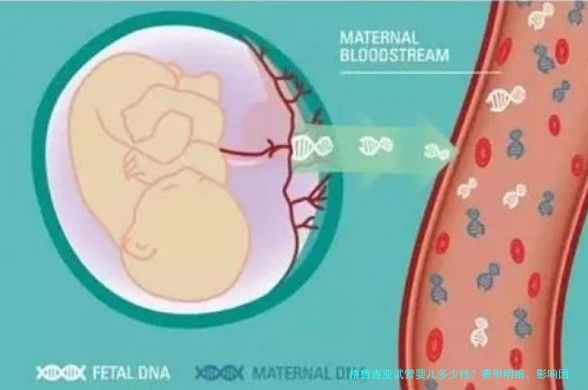 格鲁吉亚试管婴儿多少钱?费用明细、影响因素和省钱思路